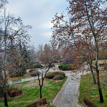 Sunny Corner Apartment *